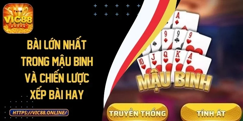 bai-lon-nhat-trong-mau-binh