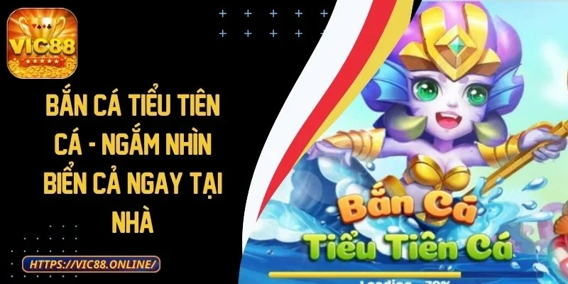 ban-ca-tieu-tien-ca