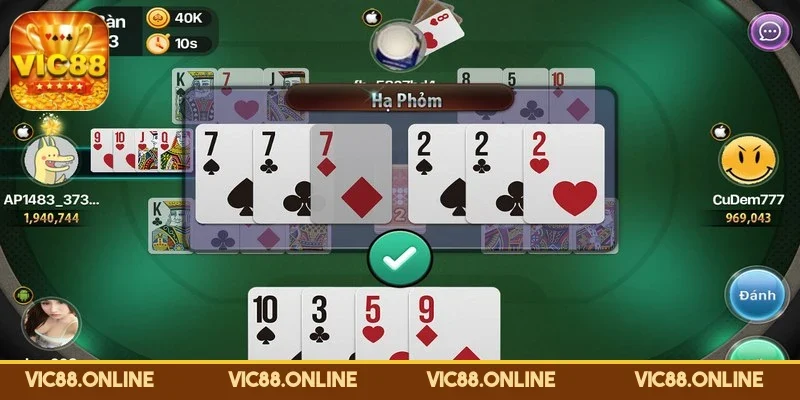 phom-vic88-thuat-ngu-pho-bien